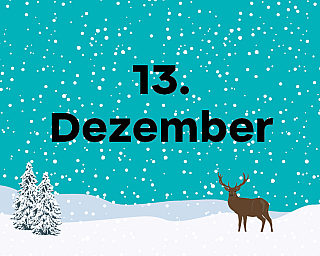 Schneelandschaft in der "13. Dezember" steht.