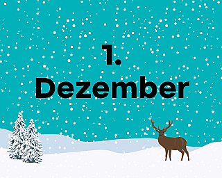 Schneelandschaft in der "1. Dezember" steht.