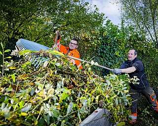 Zwei Männer sammeln im Garten Laub und Äste mit einer großen Harke